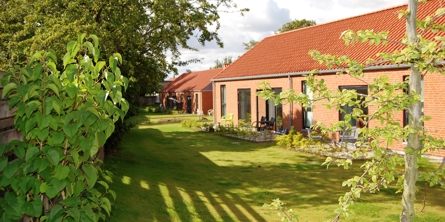 Billede af Ane Staunings vej med træer som forgrund